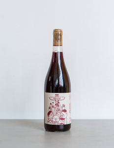 CANTINO INDIGENO Vino Rosso 2019 / Abruzzo, Italy